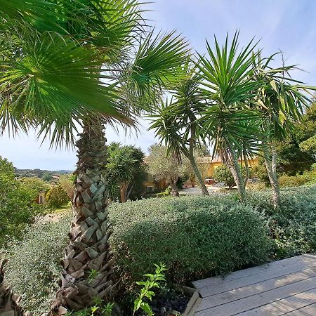 Rez De Jardin Villa Presqu'Ile De Giens イエール エクステリア 写真