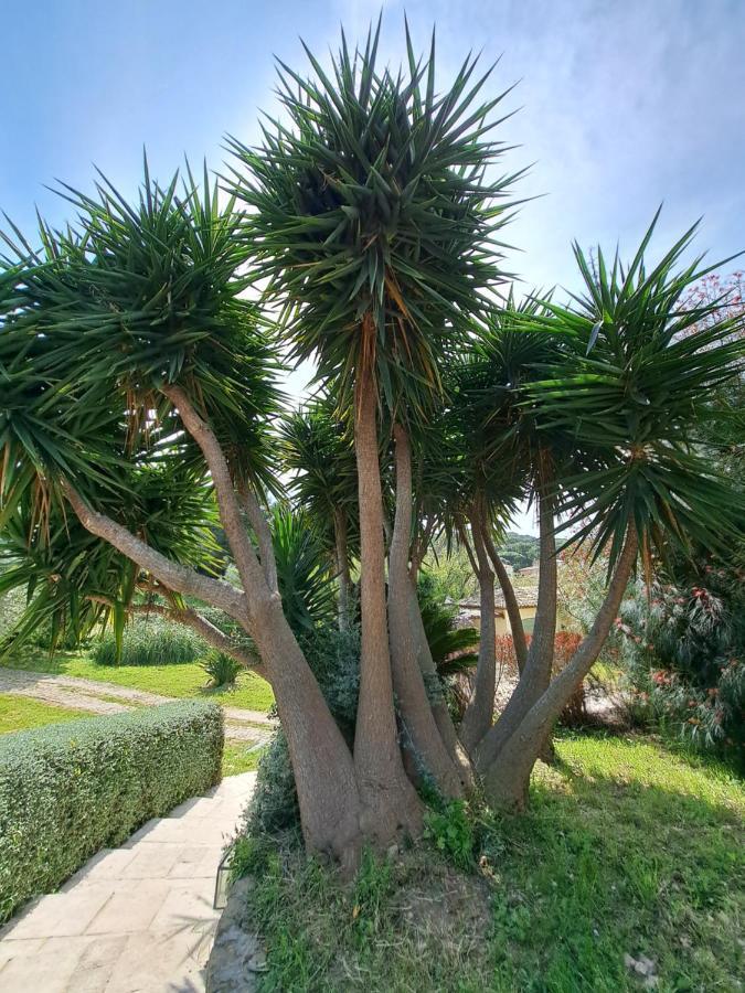 Rez De Jardin Villa Presqu'Ile De Giens イエール エクステリア 写真
